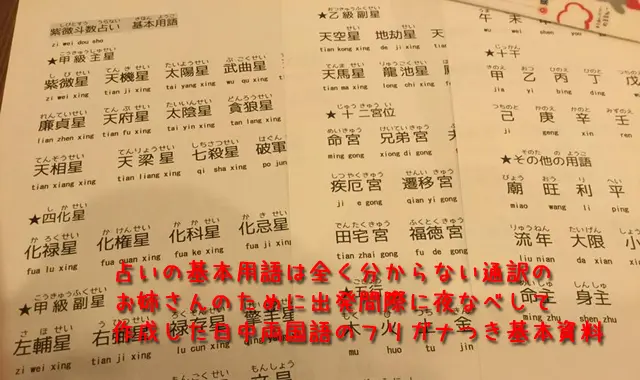 台湾の旅・紫微斗数鑑定に備えて占いの知識が全くない台湾人通訳のお姉さんのために作った紫微斗数の基本用語資料