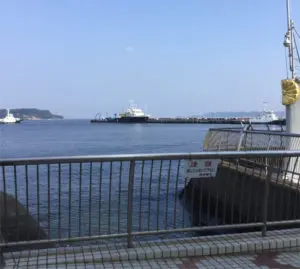 横須賀の海に浮かぶ猿島